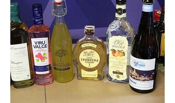 Wijndispenser - Drankdispenser - Cocktaildispenser - Wijnglashouder - voor het vullen Wijndispenser - Drankdispenser - Cocktaildispenser - Wijnglashouder - voor het vullen